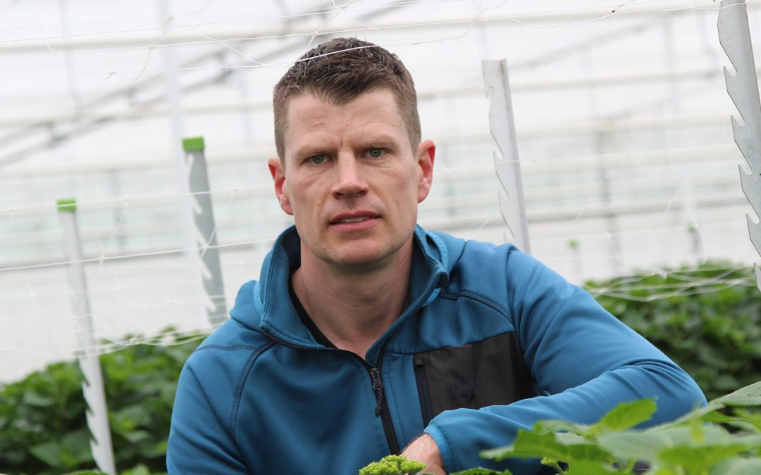 ‘De vraag naar doorgekleurde bloemen begon al vroeg’