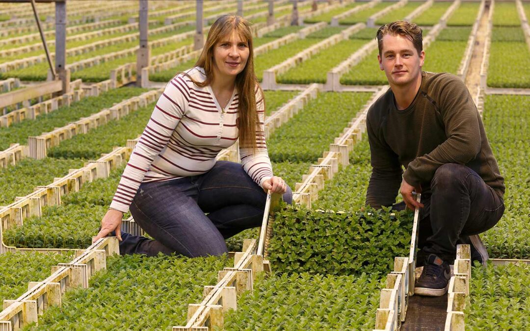 ‘Serenade is breedwerkend middel in IPM-strategie’