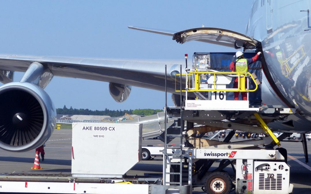 Gebrek luchtvracht blijft internationale tuinbouw ontwrichten