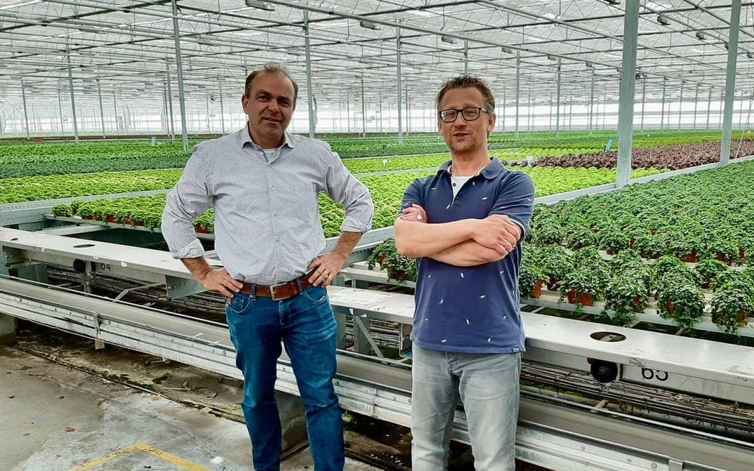 ‘Ons bedrijf is als een Hof van Eden voor plantenliefhebbers’