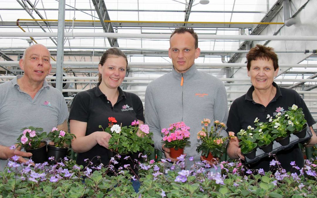 Kwekerij verandert elk voorjaar in kleurrijk mini-tuincentrum