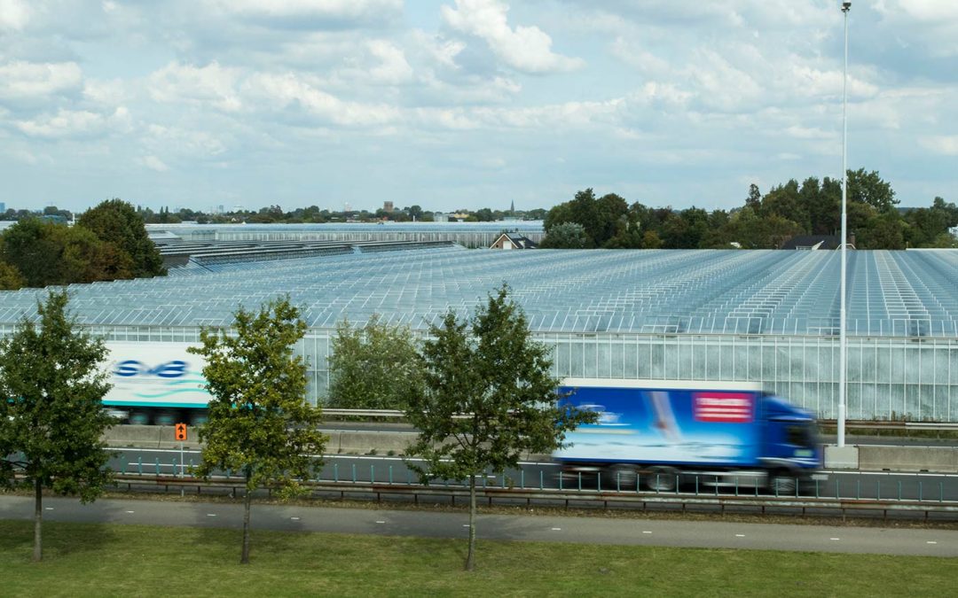 Tuinbouw goed voor bijna 3 procent Nederlandse economie