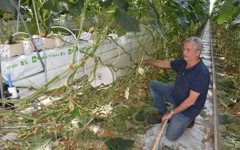 3-Dion van Mullekom AL