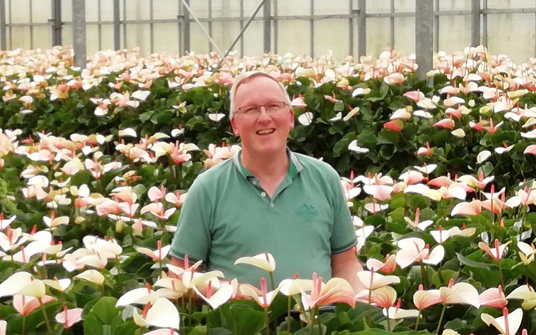 ‘Gewas tijdig controleren op vraat door haantjes en mijten’