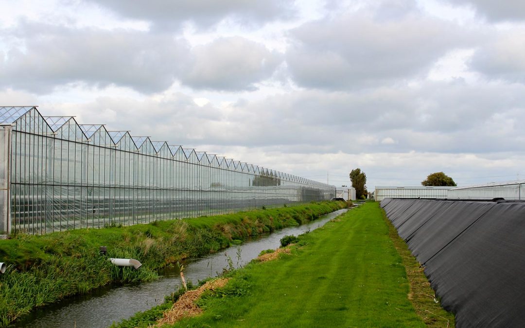 WUR ontwikkelt handzame en betaalbare nitraatmeter