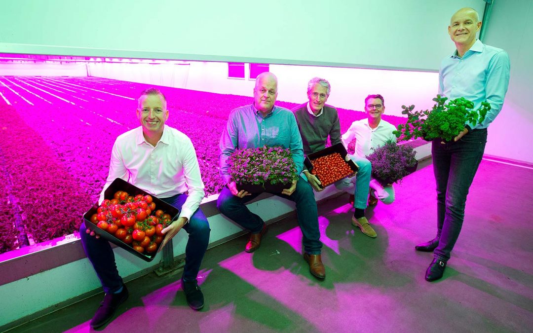 Investeerder stopt € 20 miljoen groeigeld in PlantLab