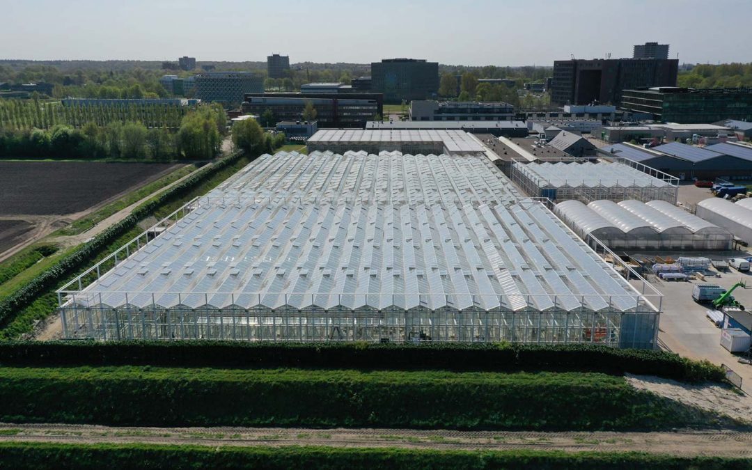 Onderzoek naar plantenziekten in gloednieuwe WUR-kas
