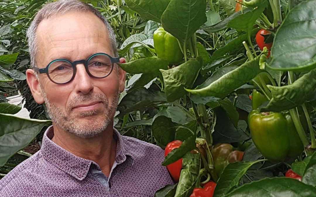 ‘Balans in de plant houden bij veranderingen in buitenklimaat’