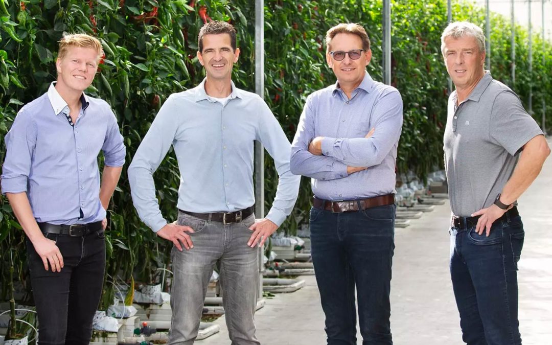 Drie paprika- en tomatenbedrijven samen verder als Frestia