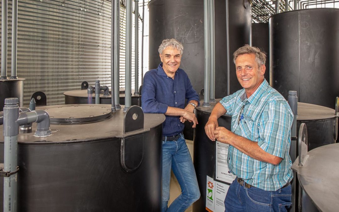 ‘Aardbeien telen onder glas is iedere dag een uitdaging’