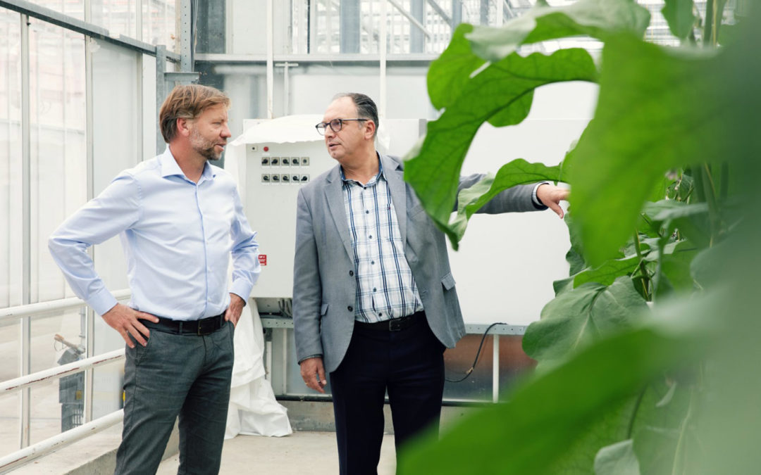 Kennis vertalen naar applicatie die realtime teeltadvies geeft