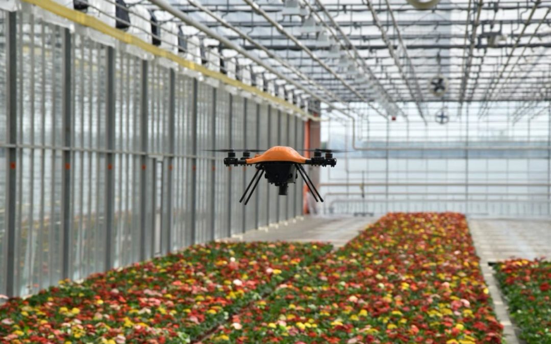 Globe Plant telt als eerste bedrijf zelf kiemplanten met een drone