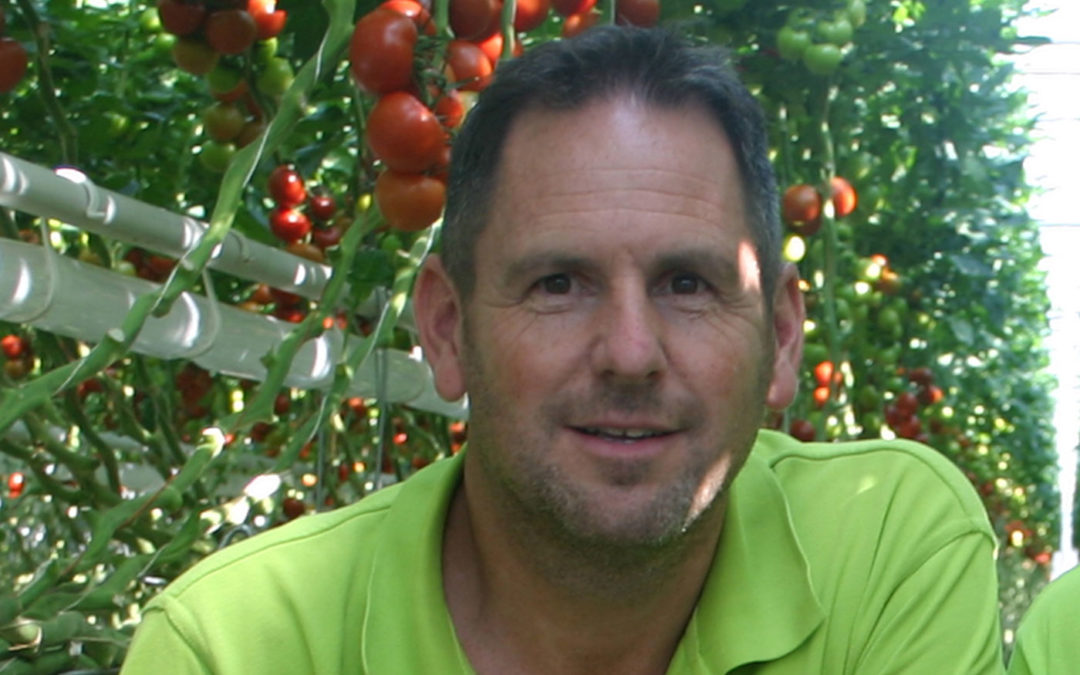 Emsland Gemüse van steenwol naar organisch substraat