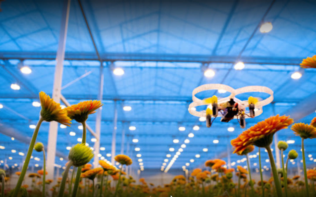 Met drones Turkse mot bestrijden kan, maar het moet beter