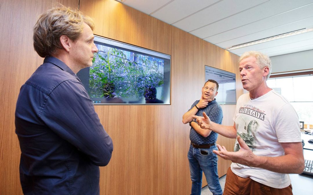 Deelnemers over ervaring met telen op afstand en algoritmen