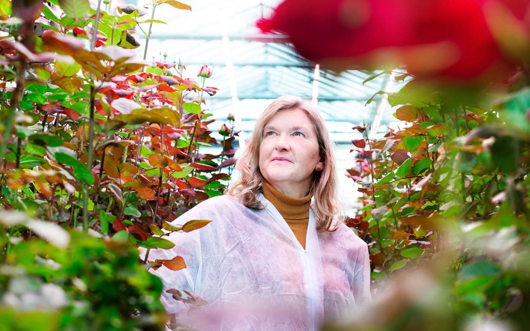 ‘Sturen op weerbaarheid niet eenvoudig, maar komt dichterbij’
