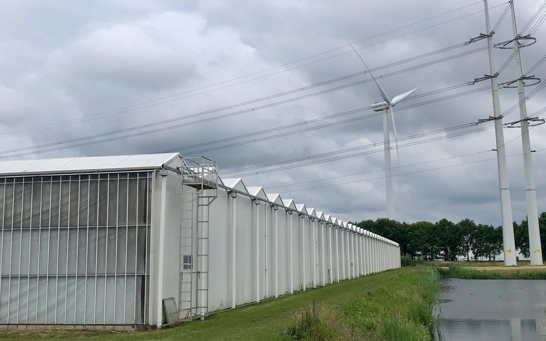 ‘Wij willen het eerste energieneutrale glastuinbouwgebied zijn’