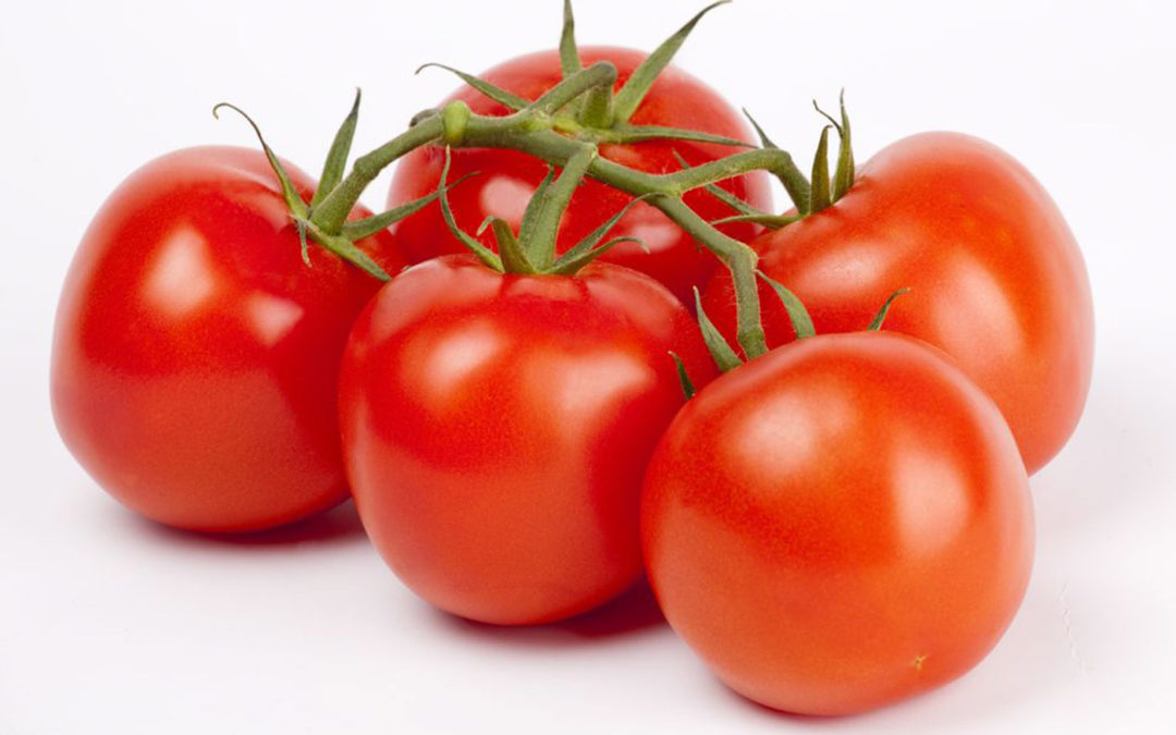 Modelleren vruchtkwaliteit op basis van groeicondities