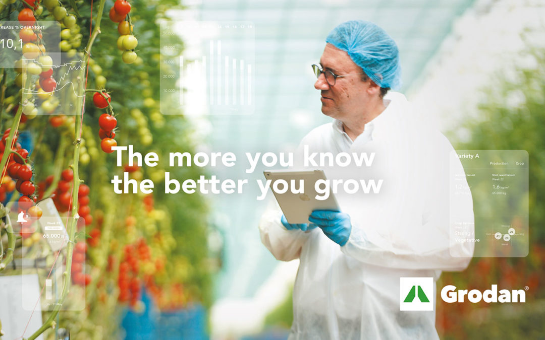 De impact van Artificial Intelligence bij oogstprognose