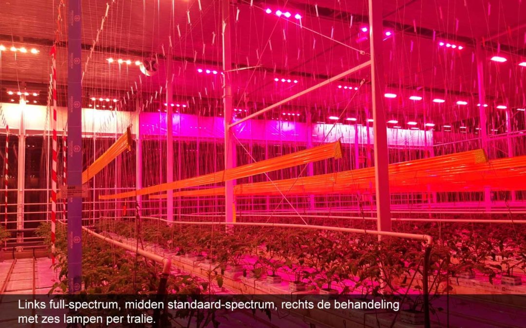 Onderzoek naar juiste spectrum en lichtverdeling bij full-LED belichting