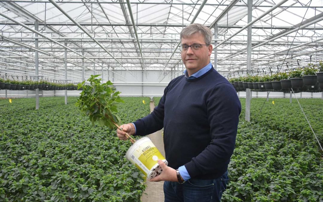 ‘Veel Duitse bedrijven zullen gedwongen moeten stoppen’