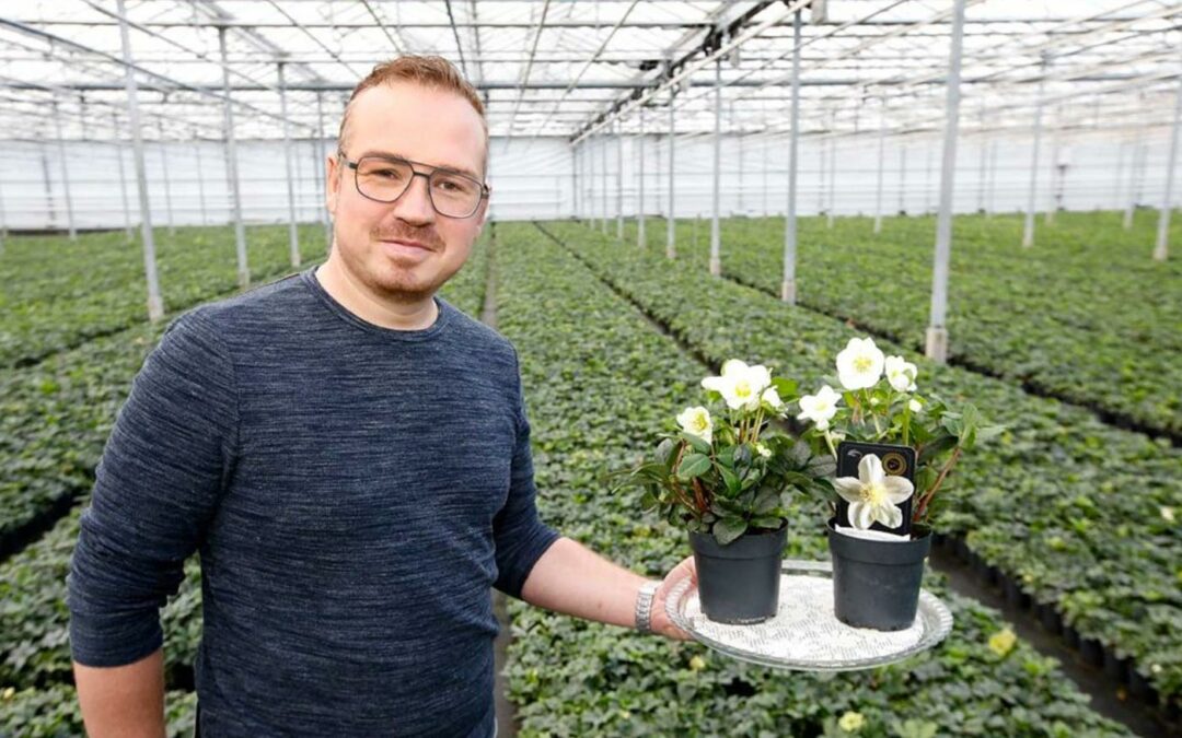 ‘Op z’n mooist als de temperaturen in voorjaar wat gaan stijgen’