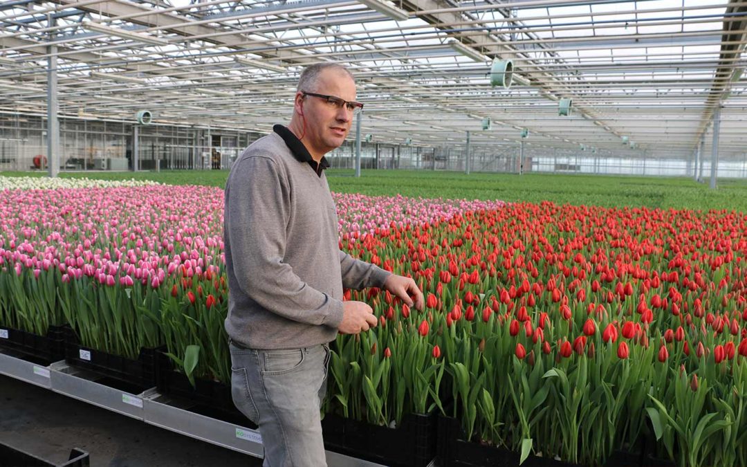 ‘Met twintig procent krimp zijn we dit jaar voorzichtig gestart’