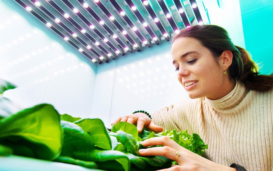 ‘Iedere vertical farm is uniek en dat wordt te vaak vergeten’