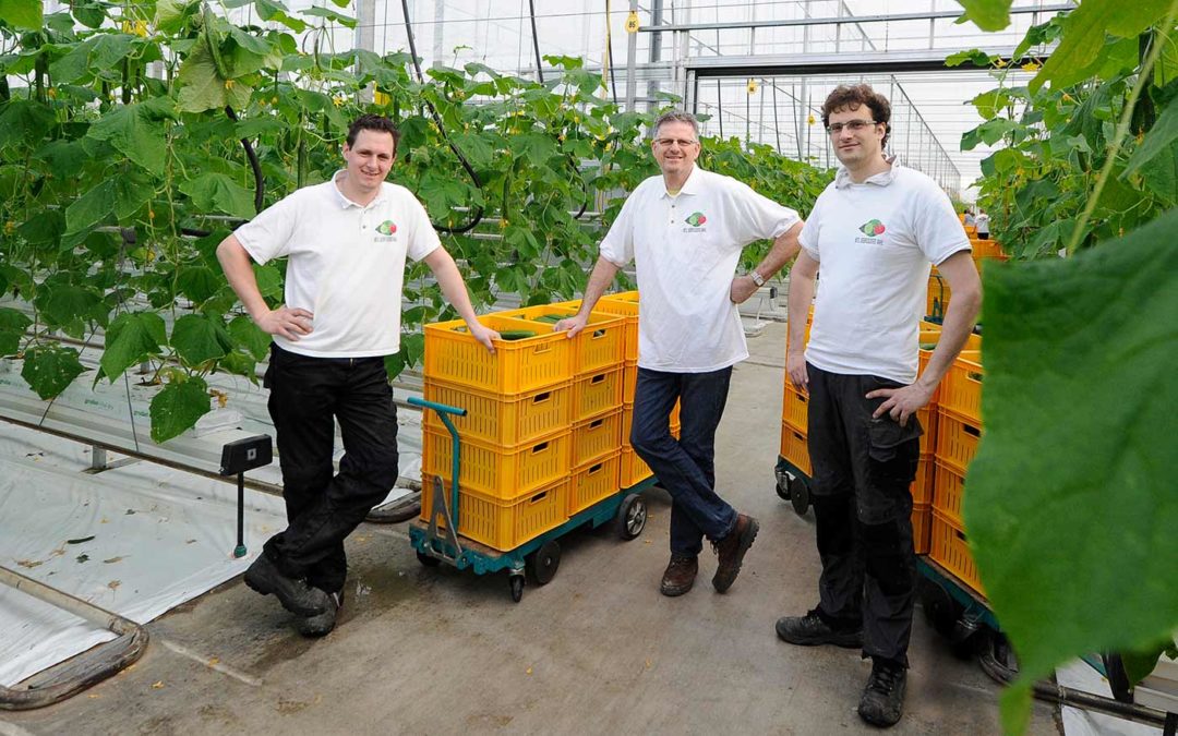 Dries Vahl: ‘Door LED ligt productie naar schatting 50% hoger’