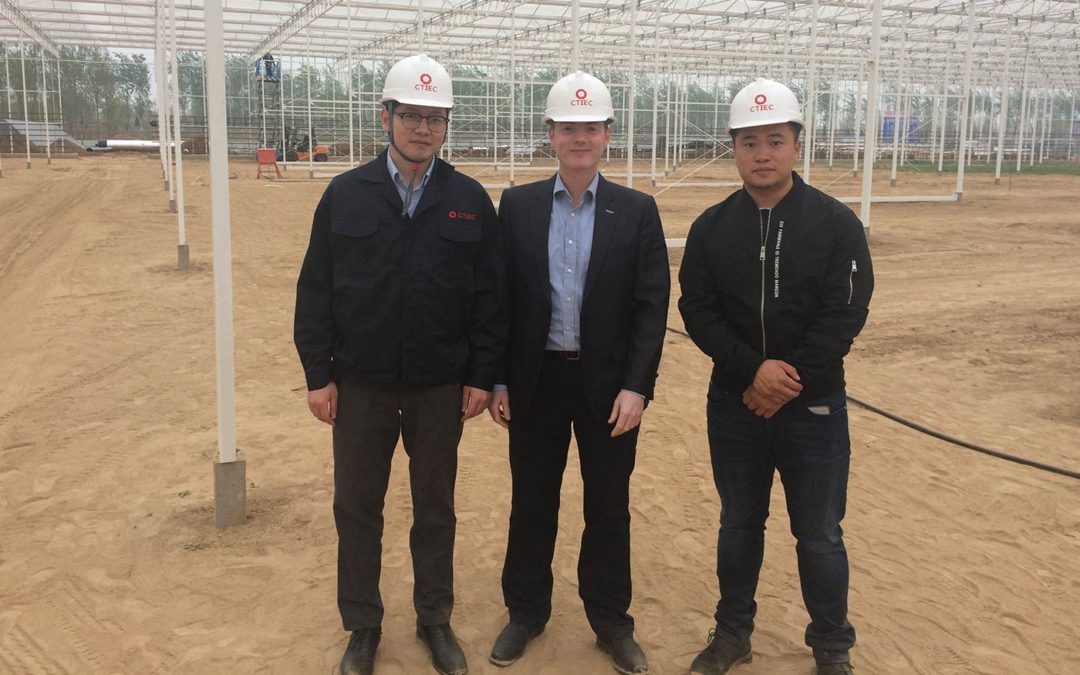 ‘High-tech greenhouses the direction for Chinese horticulture’