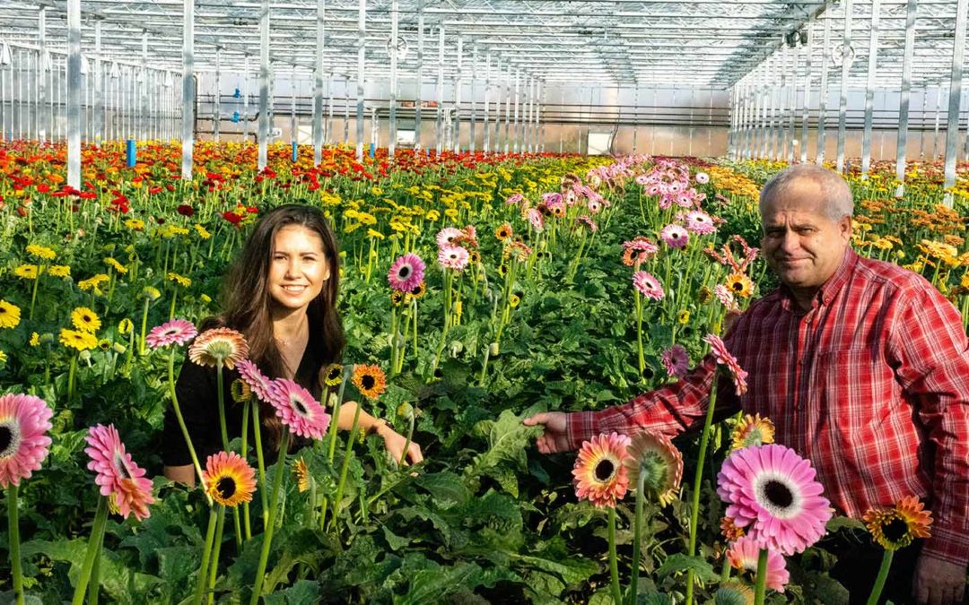 High hopes of improving quality and yield while reducing costs