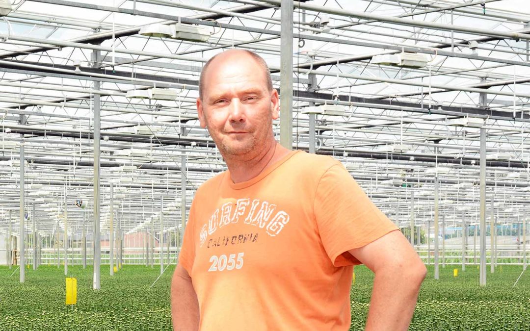 Nieuwe strategie moet trips chemievrij onder de duim krijgen