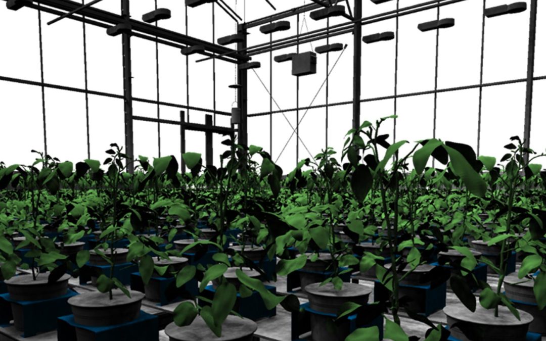 3D-modellering van planten nu inzetbaar voor innovaties