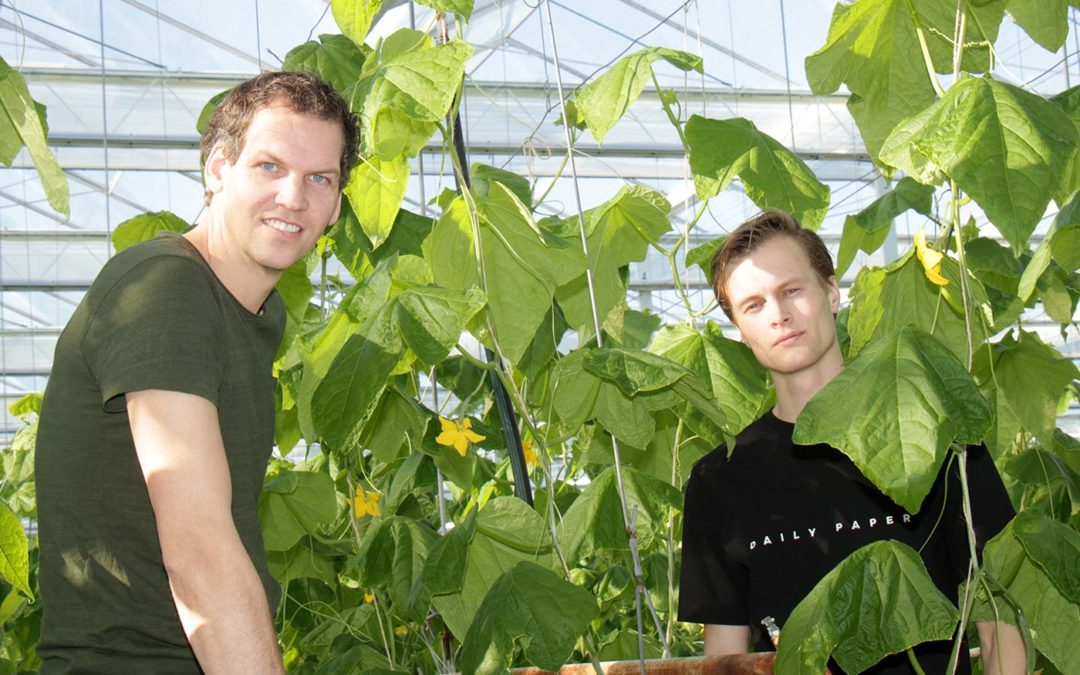 ‘We moeten tweemaal kijken of beide doeken dicht zijn’