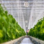 Nieuw: De nieuwe generatie Multifan Tuinbouwventilatoren