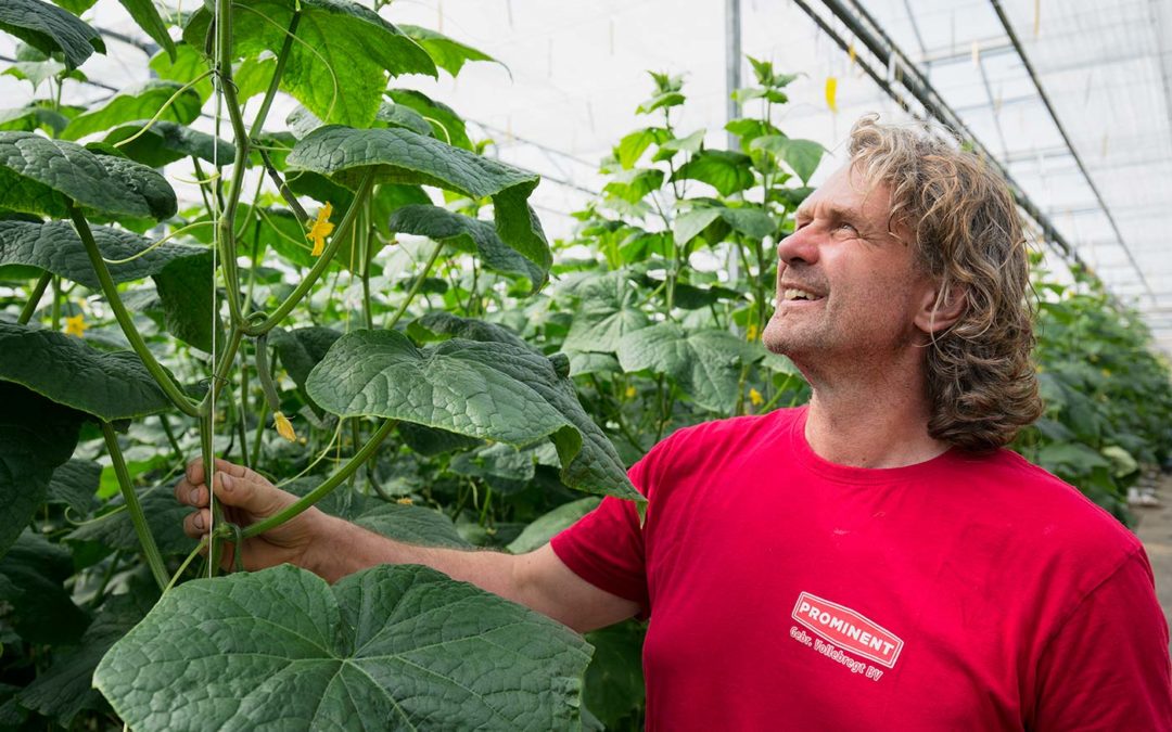 ‘Als afzet nu stabieler blijft, komen we beter weg dan vorig jaar’