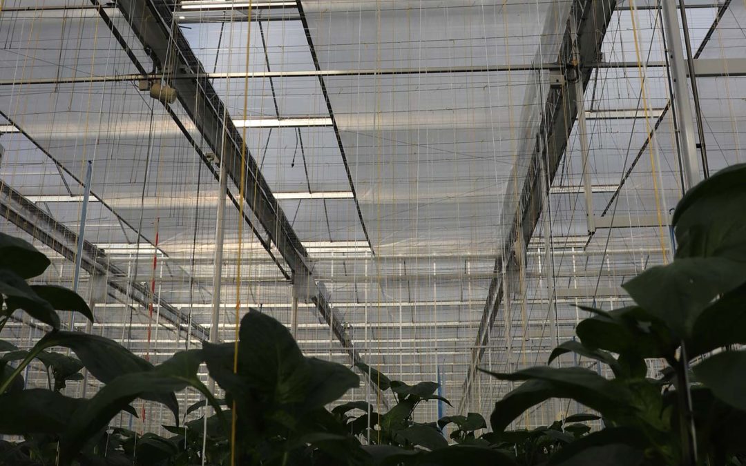 Energie-balancerend schermen levert hoge energiebesparing op