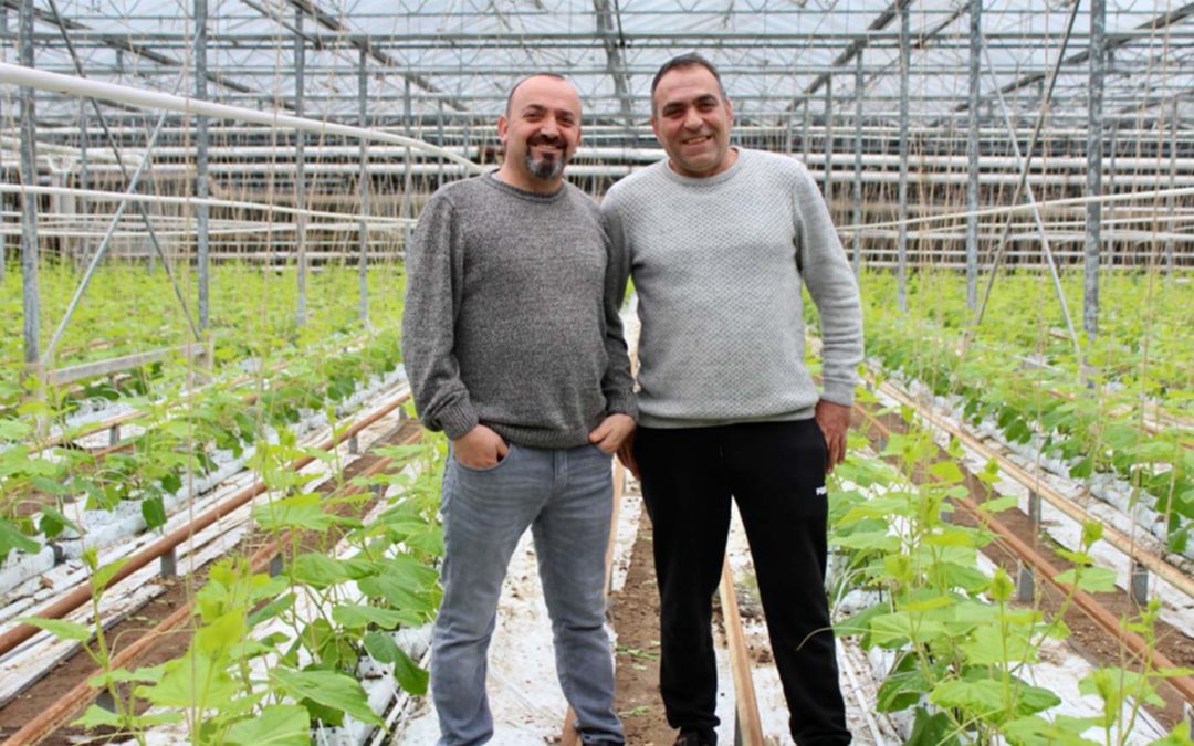 ‘Door harder gewas minder last van insecten’