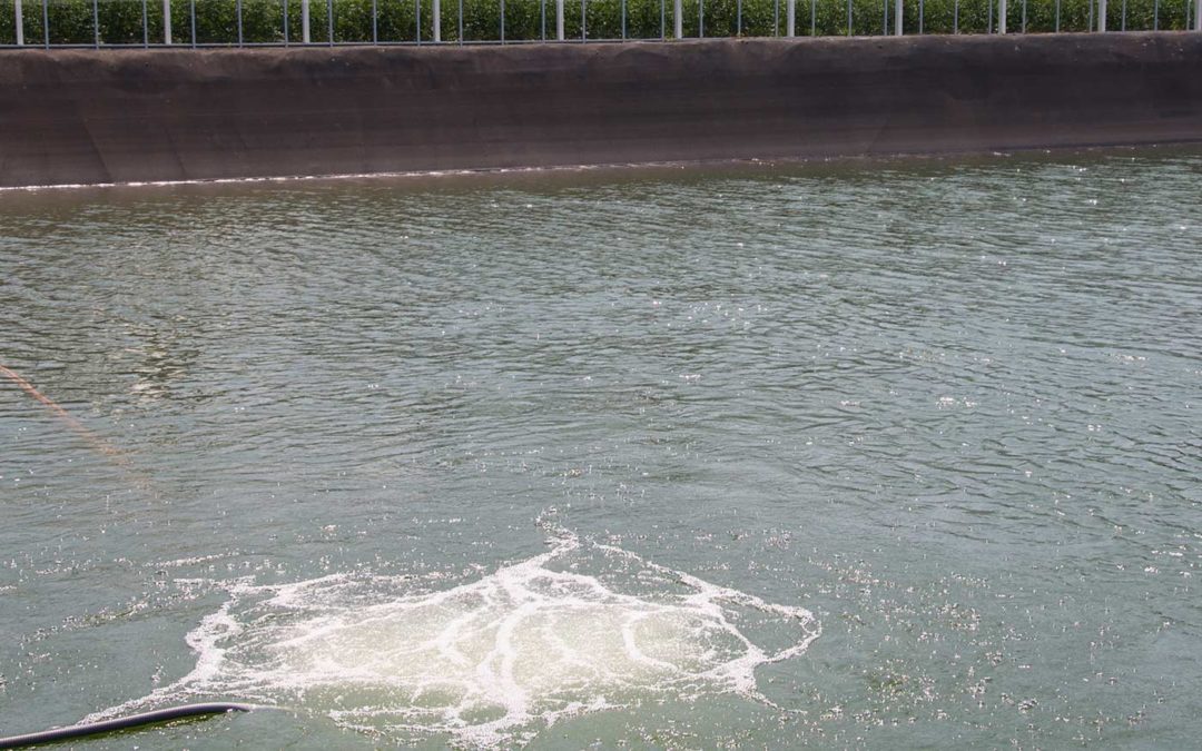 Zuurstof in wortelmilieu belangrijk, nanobubbels misschien