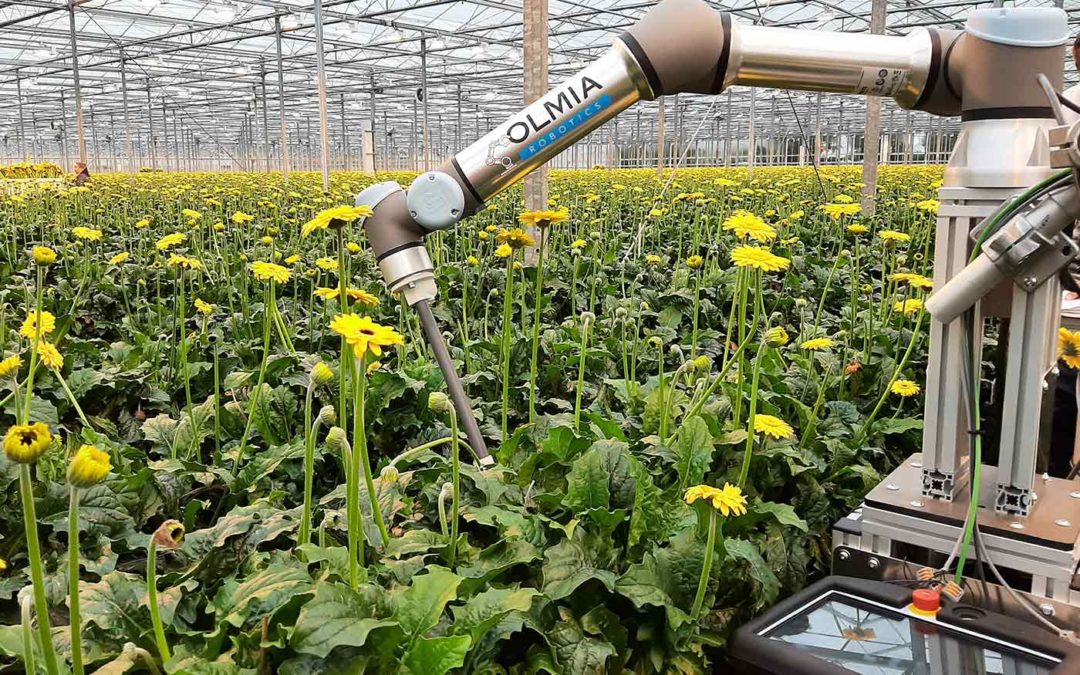 Project moet meer robots naar de markt brengen