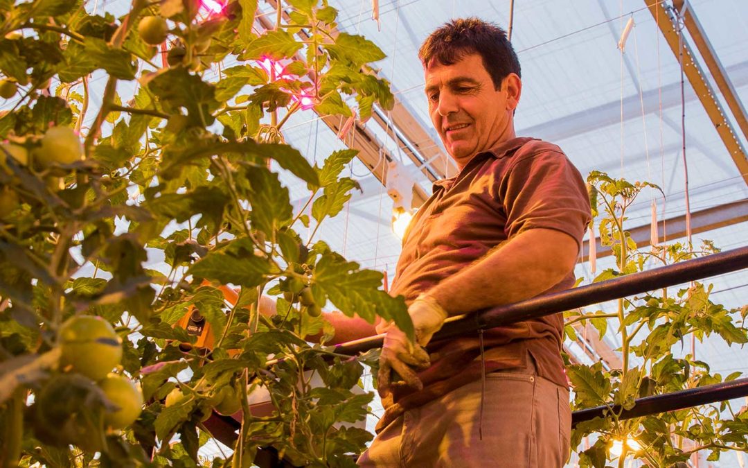‘Goede collectieve regeling, maar sigaar uit eigen doos’