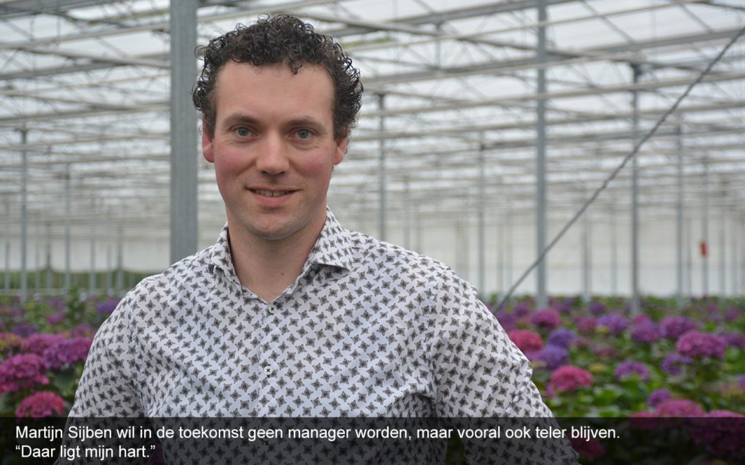 Martijn Sijben startte vanuit het niets eigen hortensiakwekerij