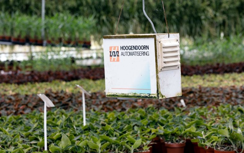 Foto 3 Klimaatbox-MB