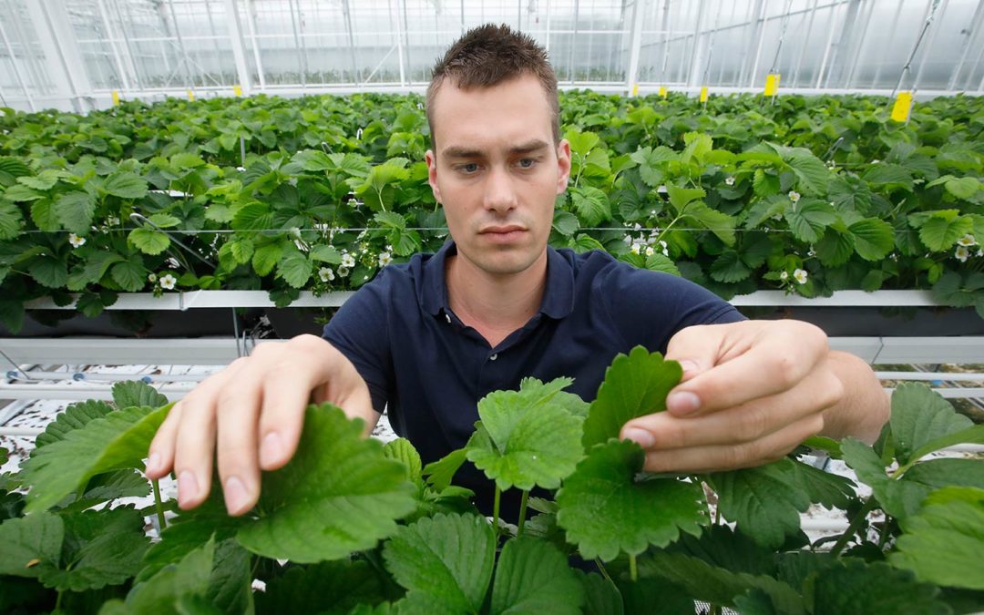 ‘Zachtfruitsector helpen om voorop te blijven lopen’