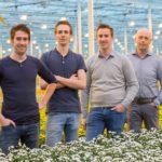 Santintiteler Van Helvoort Company neemt Wico Flowers over 