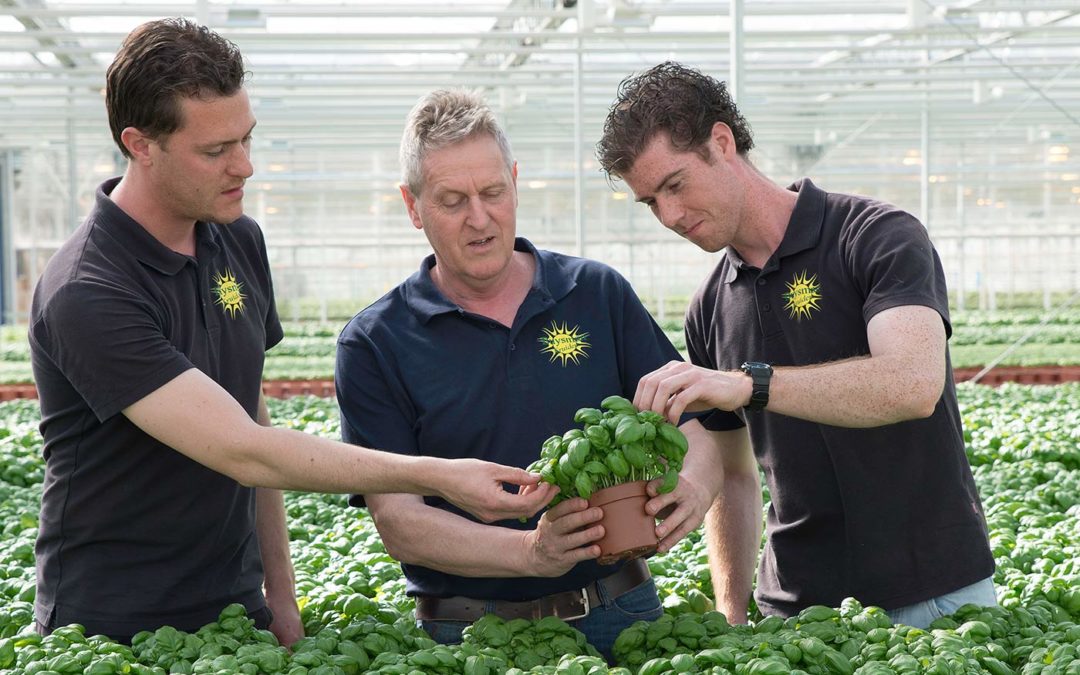 ‘Waterstof kan voor ons interessant zijn, maar tijd nog niet rijp’