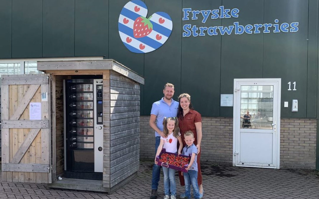 Friese tomatentelers nemen aardbeienkwekerij in Berlikum over