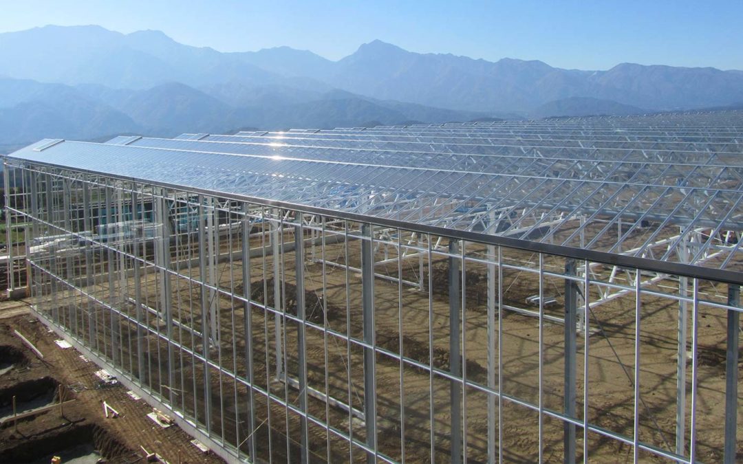 Investeringsmaatschappij neemt belang in kassenbouwer KUBO