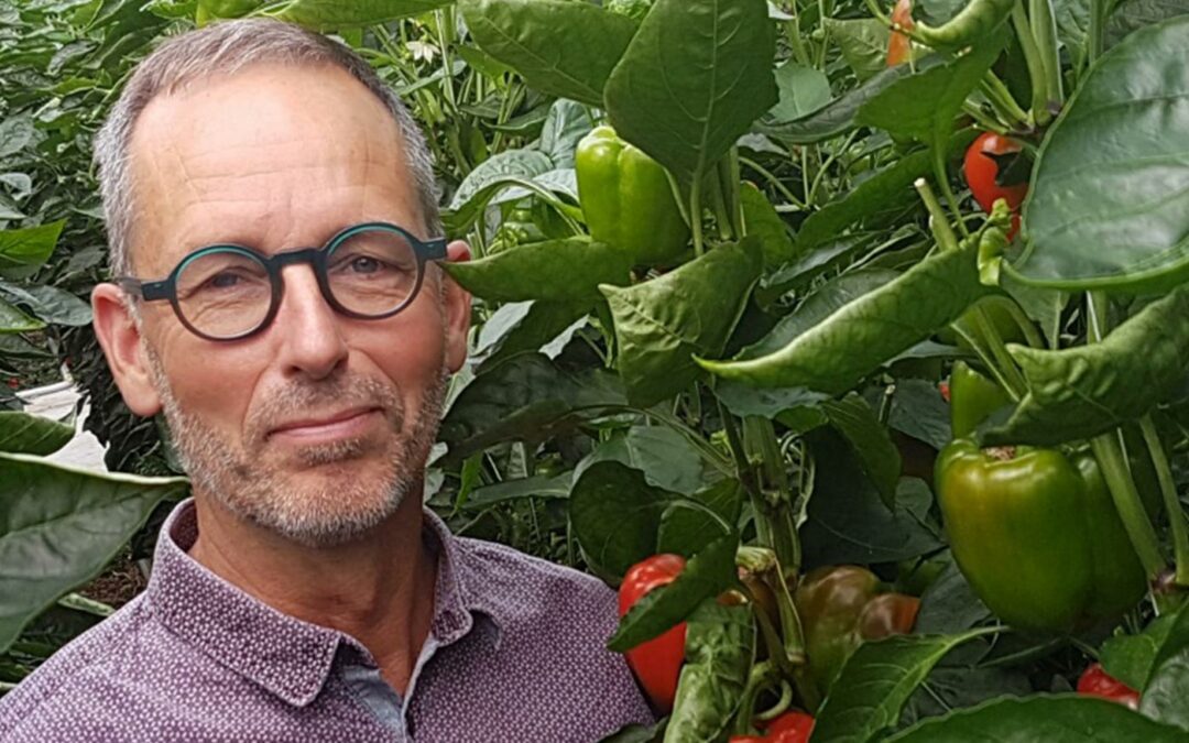 ‘Verstandig besparen op energie in paprika door juiste keuzes’