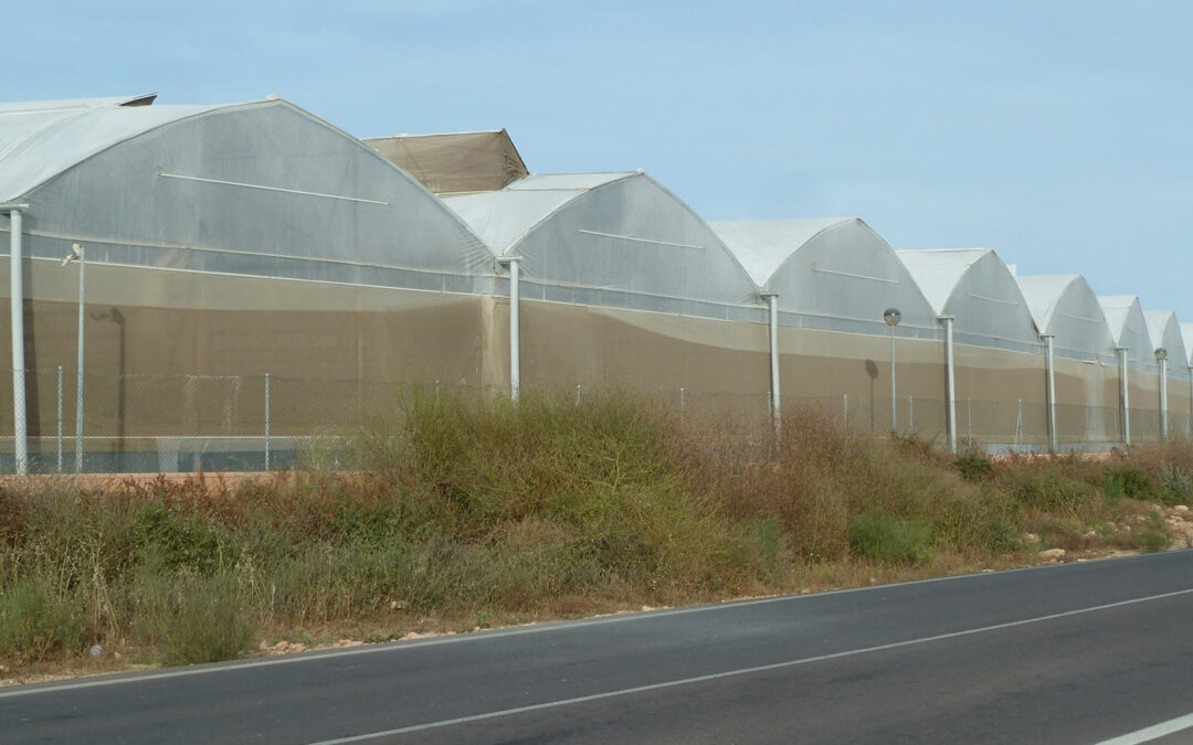 Spanje krijgt 120 miljoen euro voor modernisering kassen